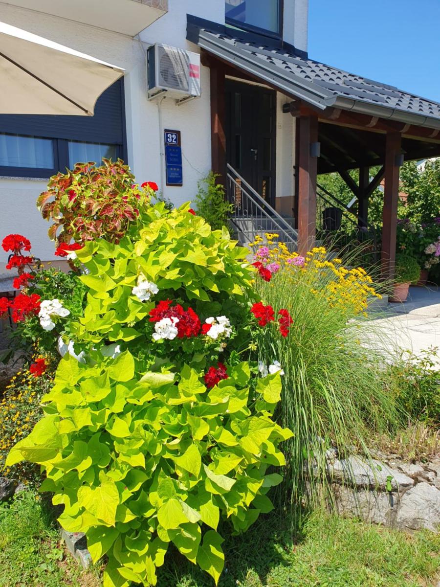 Guesthouse Vila - Housity
