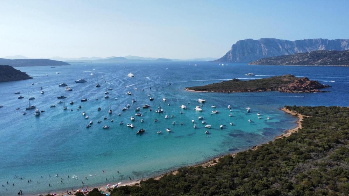 Case Vacanze Villa Rosita - Housity