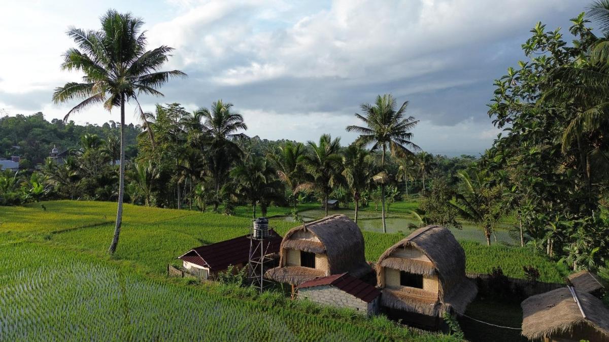 Eco Homestory - Housity