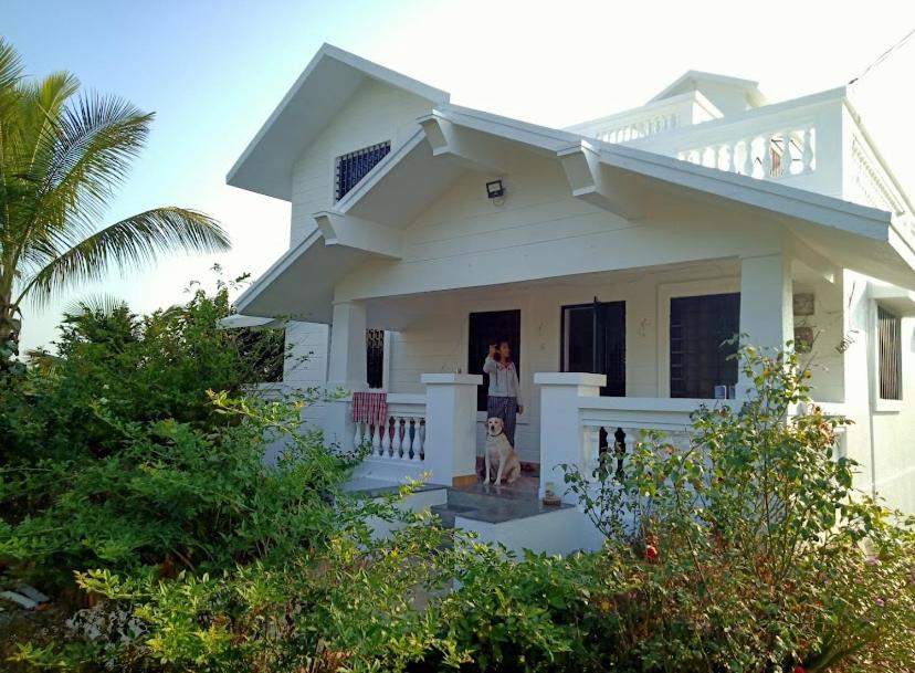 Kale farms Agro-Tourism - Housity