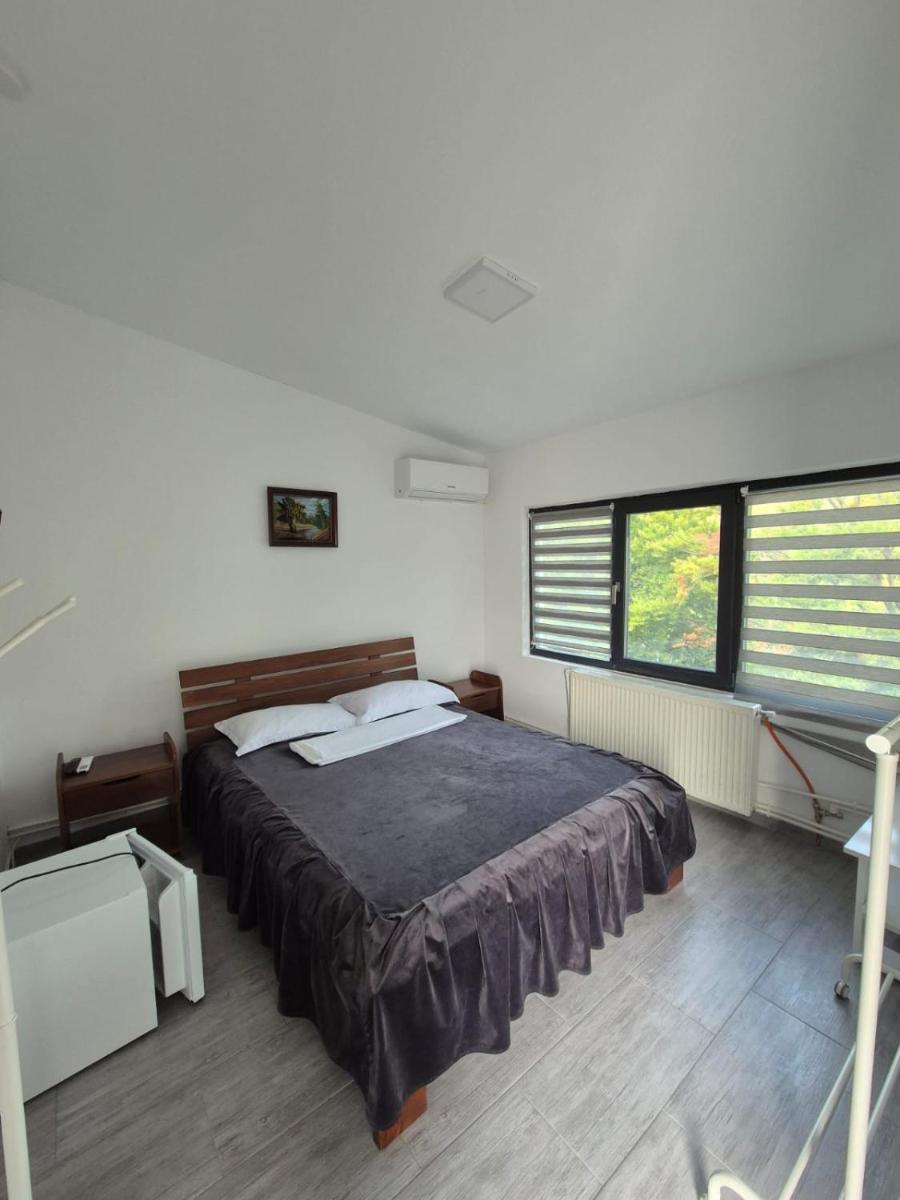 Casa de vacanta Larisa - Housity