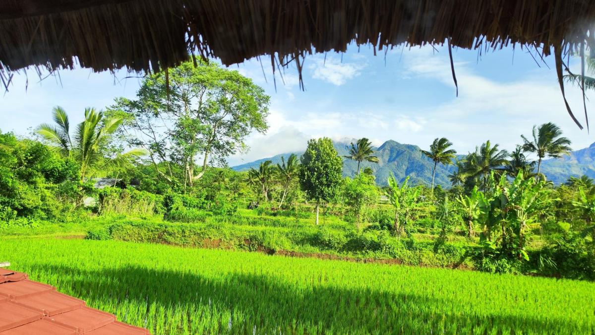 Eco Homestory - Housity