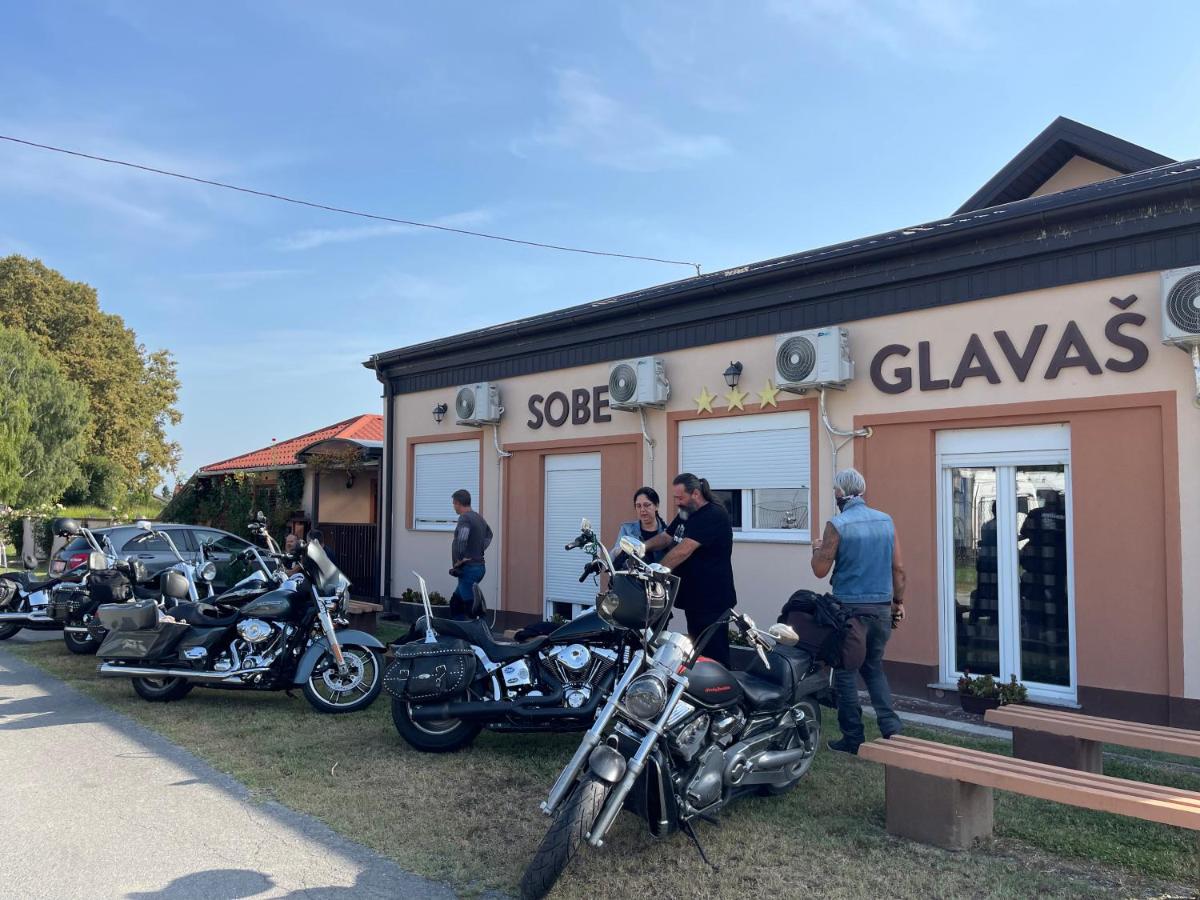 Sobe Glavaš - Housity