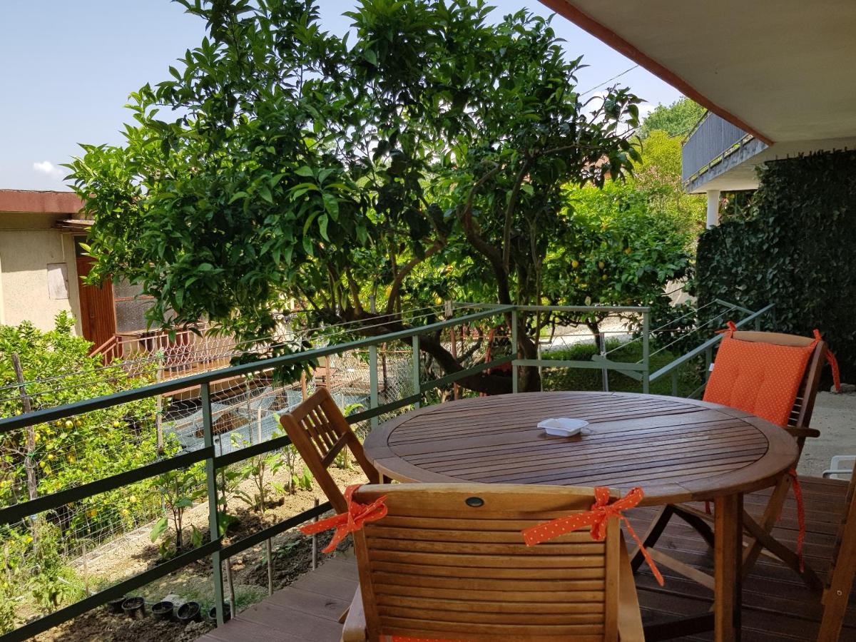 Lodge Rosa - Housity