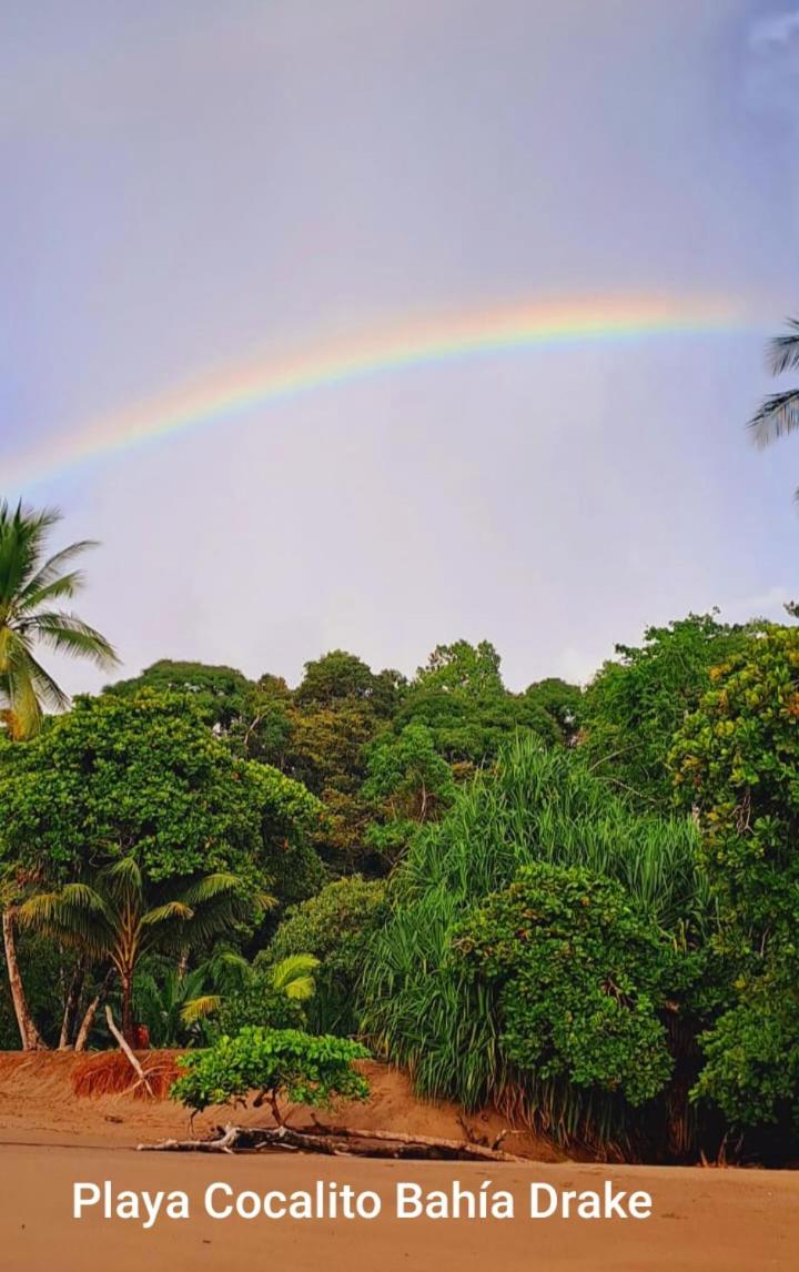Vista Alta Ecolodge Bahia Drake - Housity