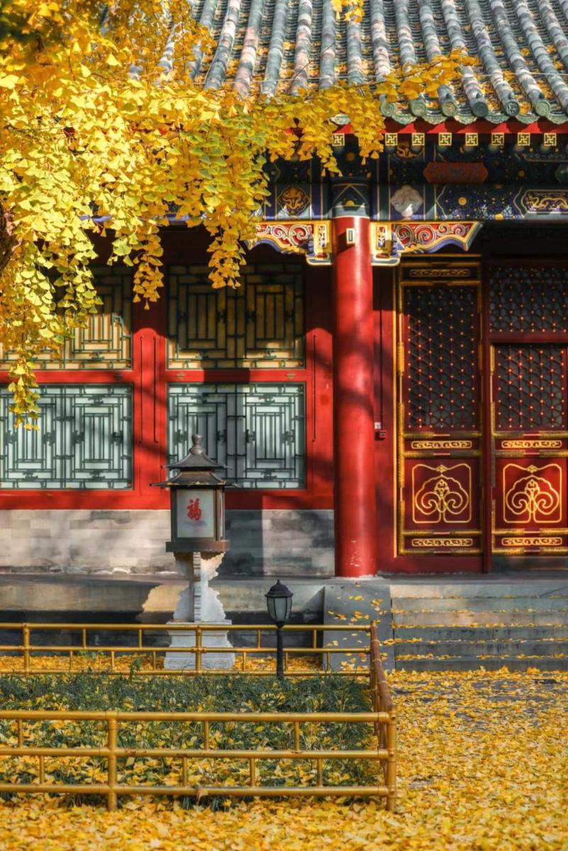 Time Traveller Hotel - Near Prince Gong's Mansion, Beihai Park, Tian'anmen Square, Nanluoguxiang Hutong, Huguosi Hutong Snack Street, 5 minutes walk away from Ping'anli Subway Station, Free ice cream and laundry service,English communication well - Hizvo