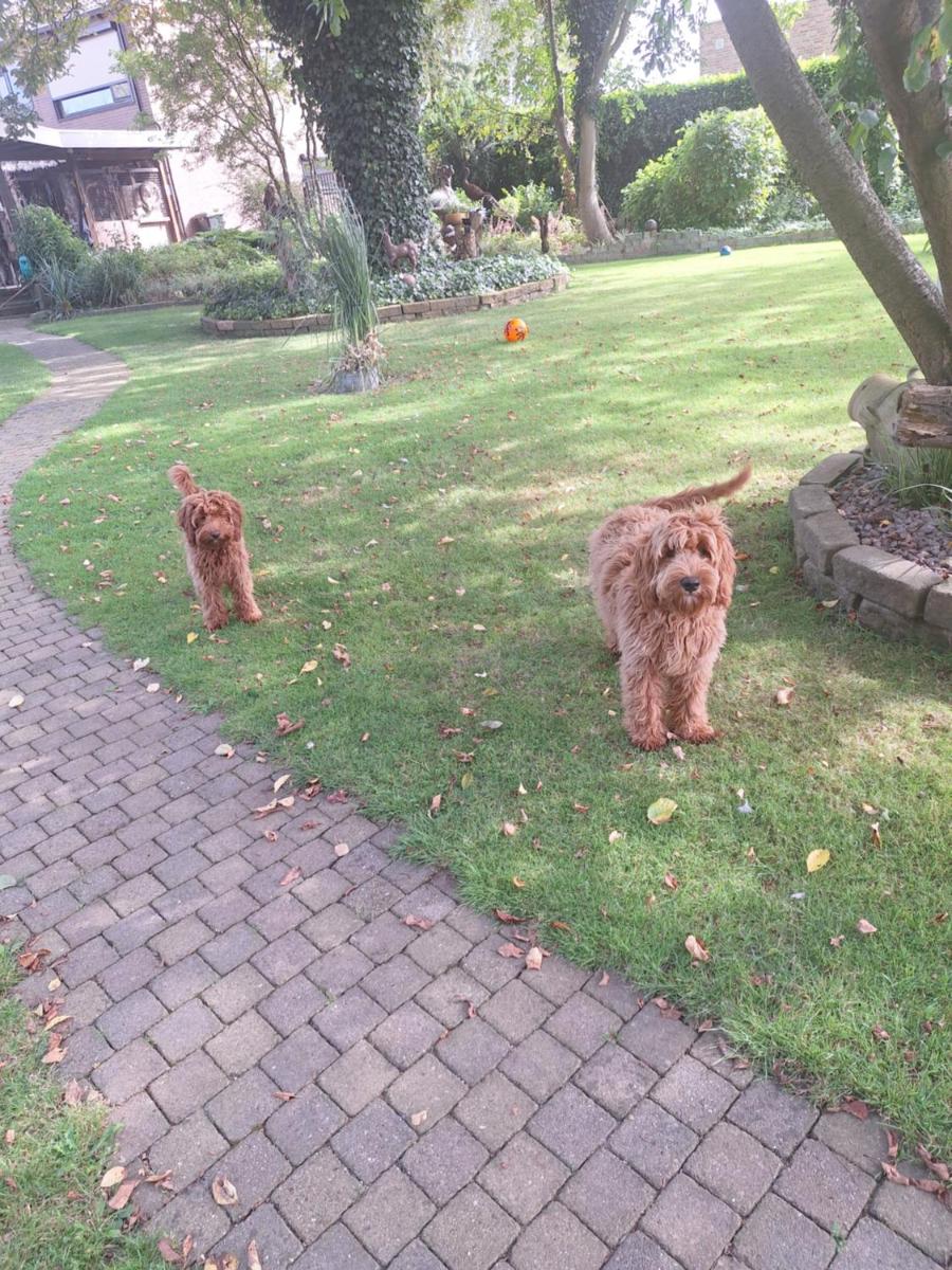 B&B de Vrijheid en de Ruimte in Steenbergen - Housity