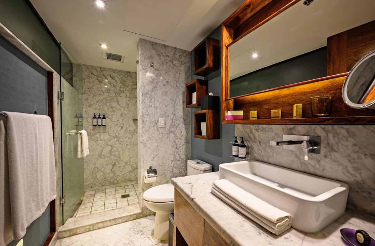 Las Suites Campos Eliseos - Hizvo