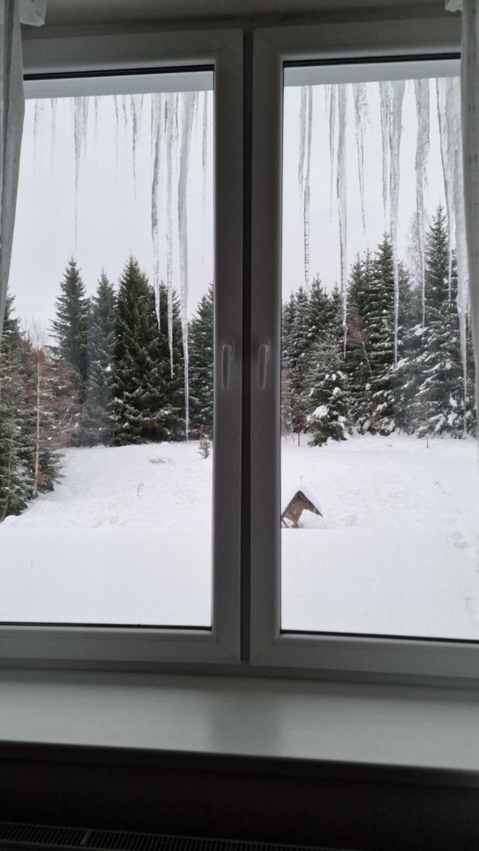 Apartmán Tereza - Housity