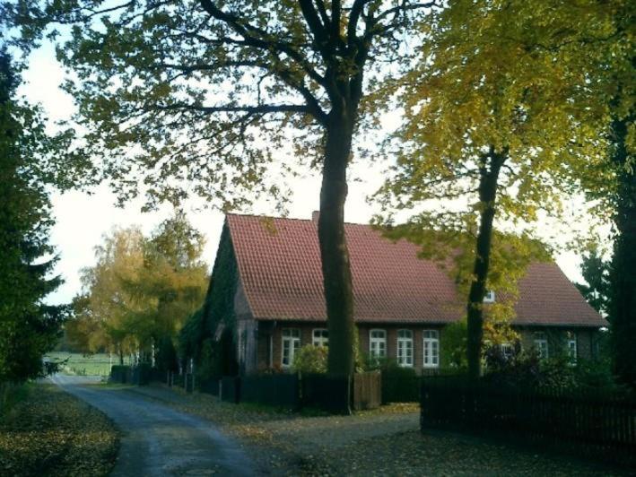 Alte Schule Bollersen - Housity