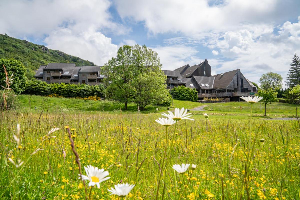 un champ de fleurs devant une maison dans l'établissement Sancy Resort, à Chambon-sur-Lac