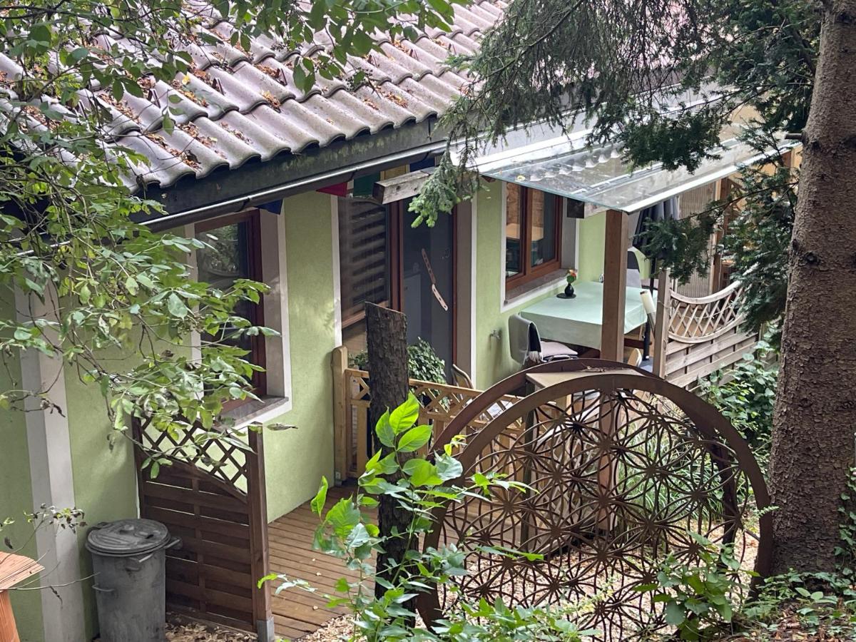 Süße Wohnung Privatvermieter - Housity