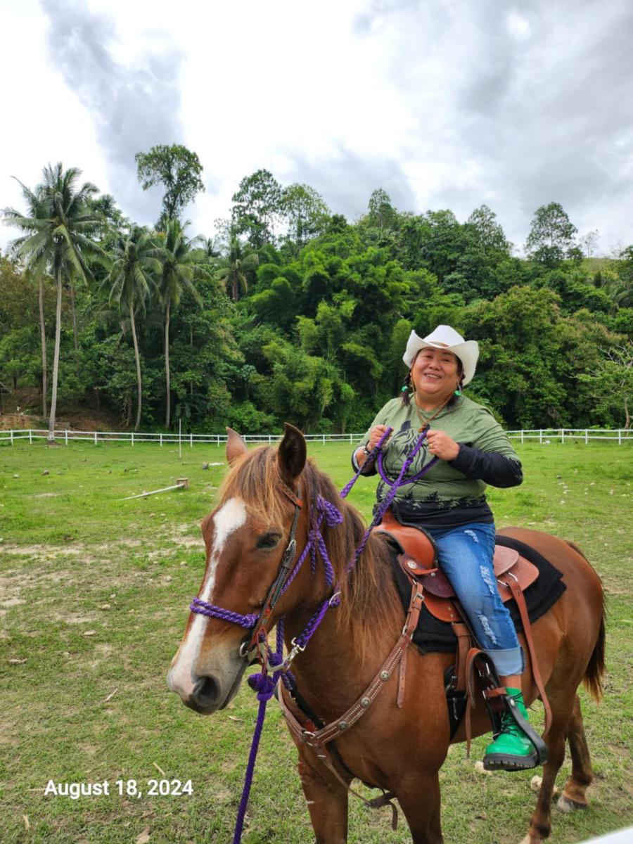 GGG Family HORSE Farm - Housity