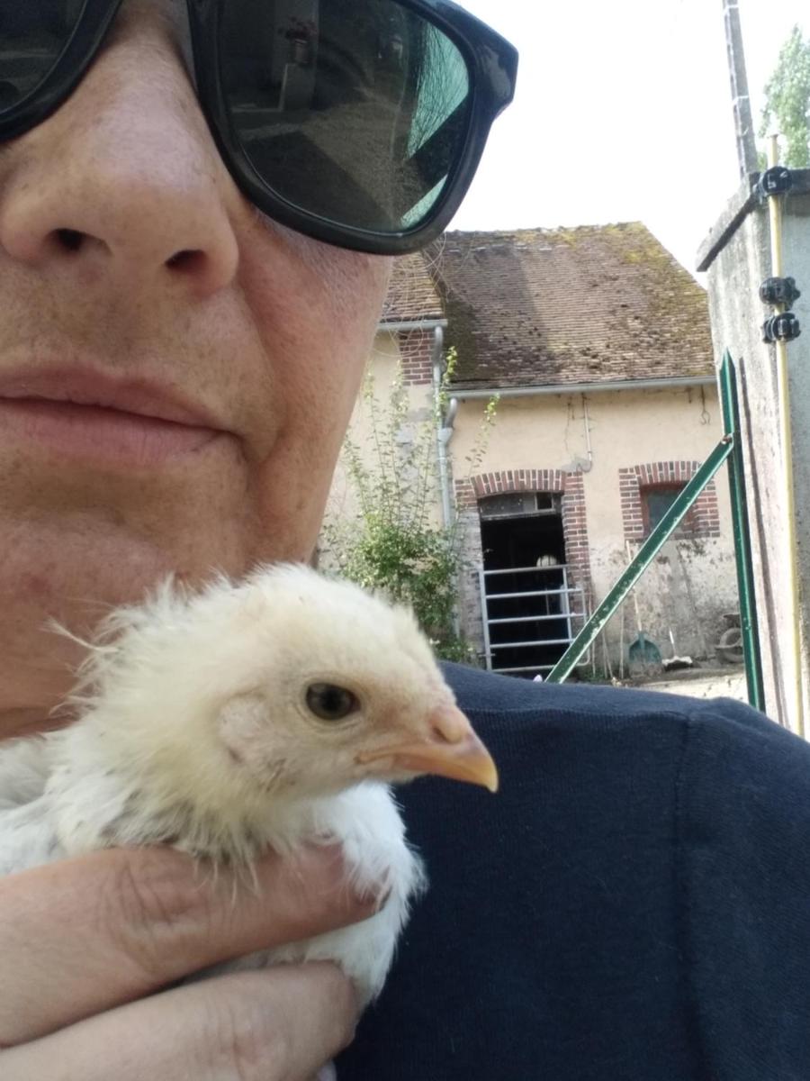 ferme pedagogique des pennetieres - Housity