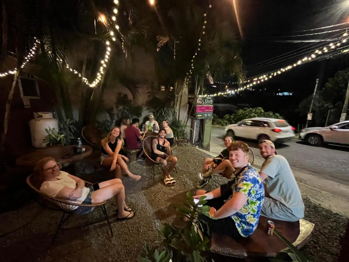 Hotel & Hostel Sloth Backpackers - Housity