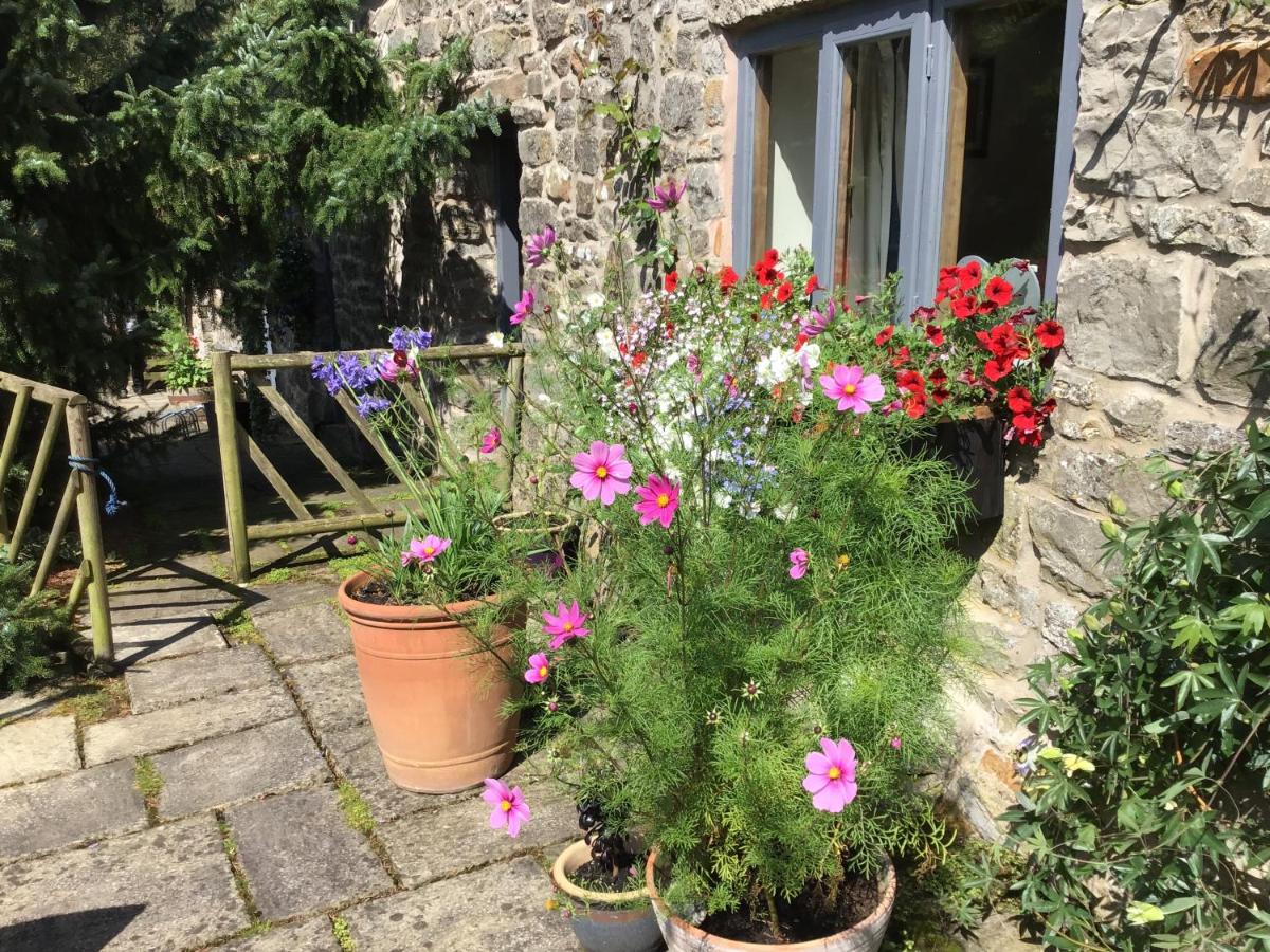 Lee house farm holiday cottage - Housity