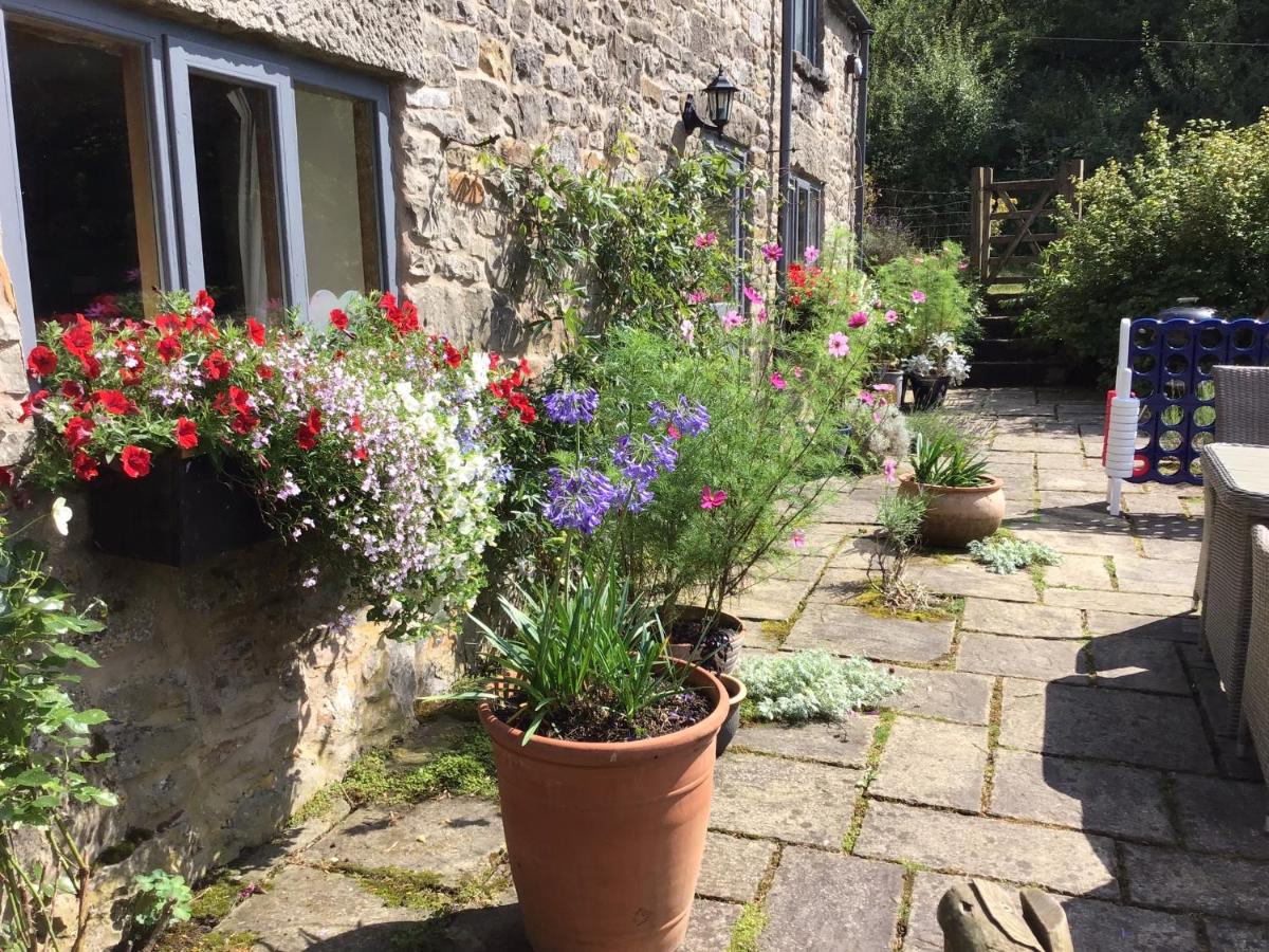 Lee house farm holiday cottage - Housity