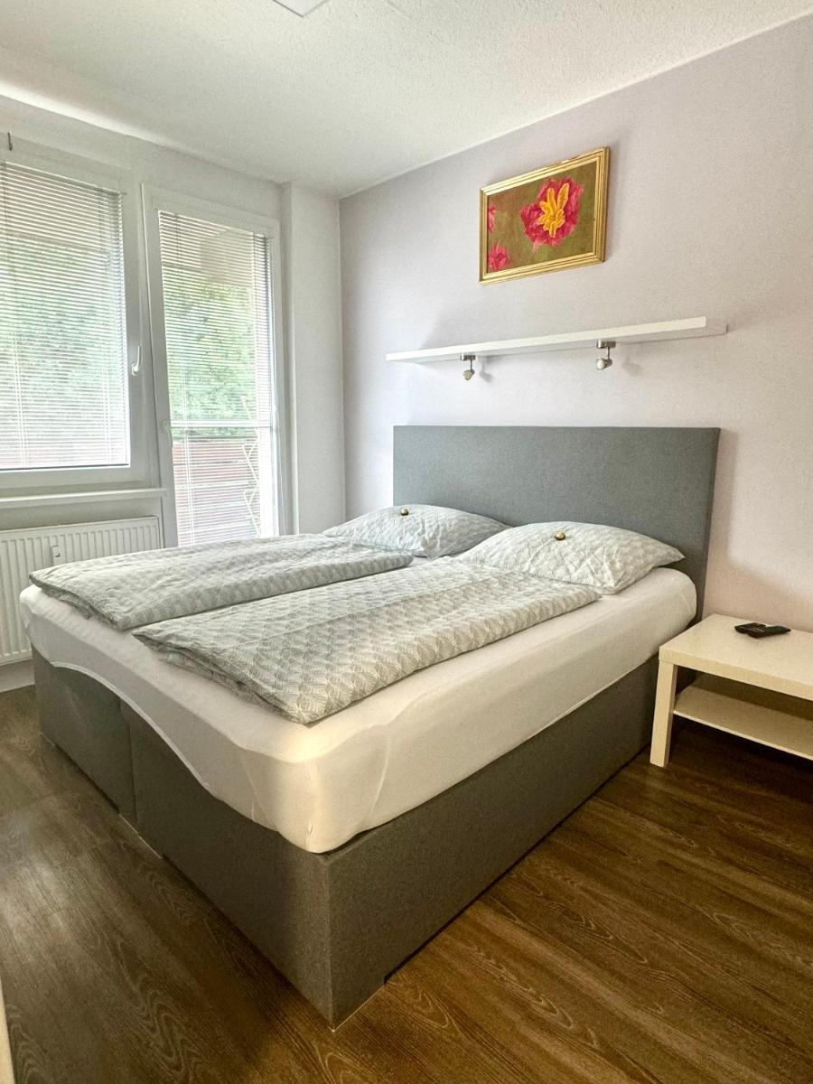 Všemina apartmán 31 - Housity