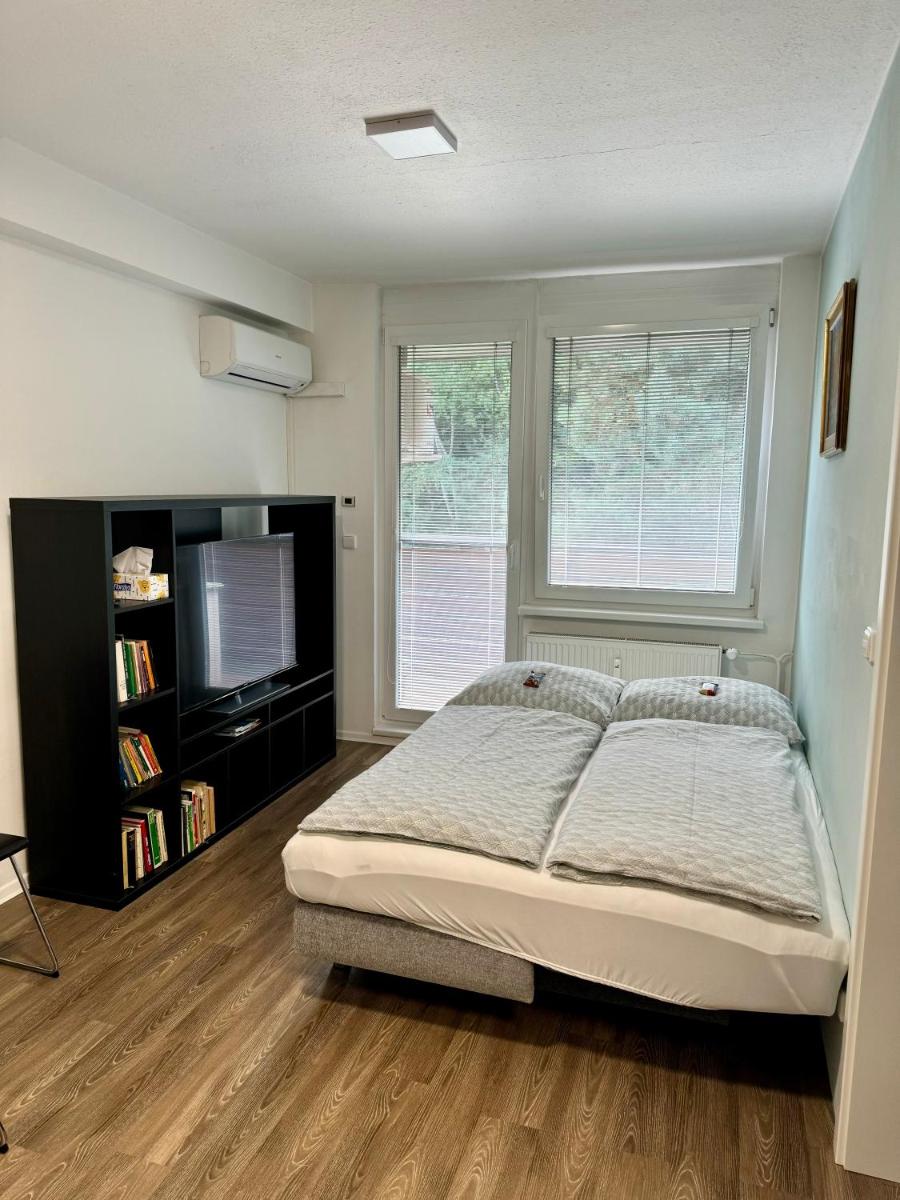Všemina apartmán 31 - Housity
