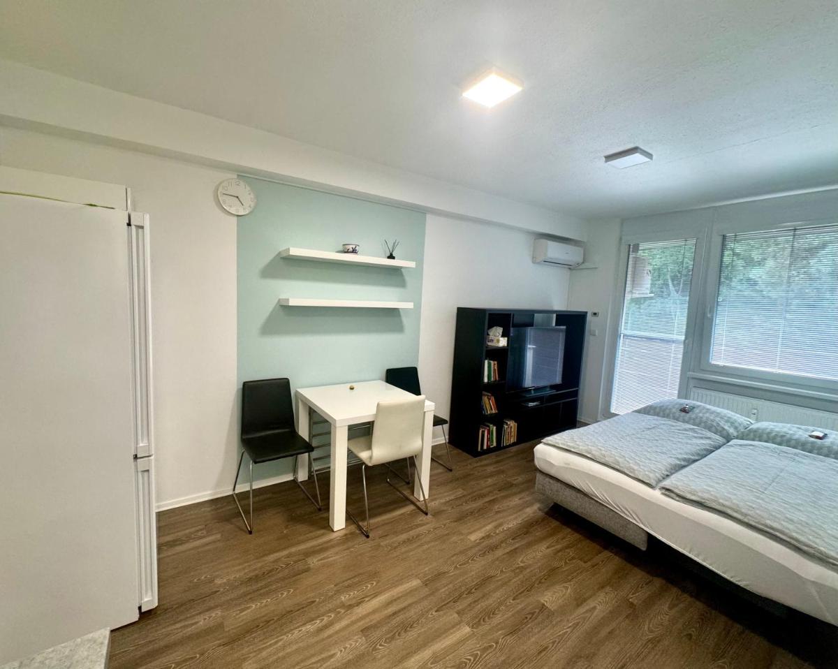 Všemina apartmán 31 - Housity
