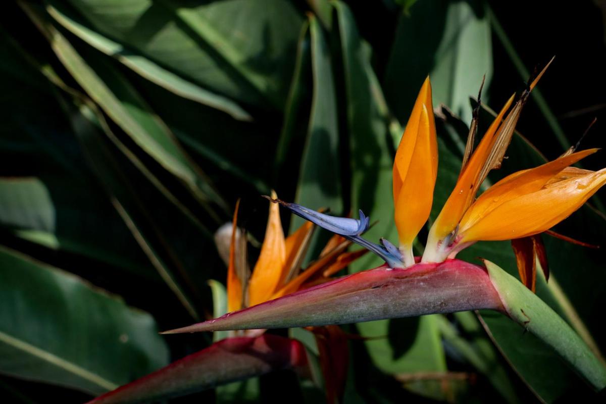 Um jardim no exterior de Quinta da Bela Vista