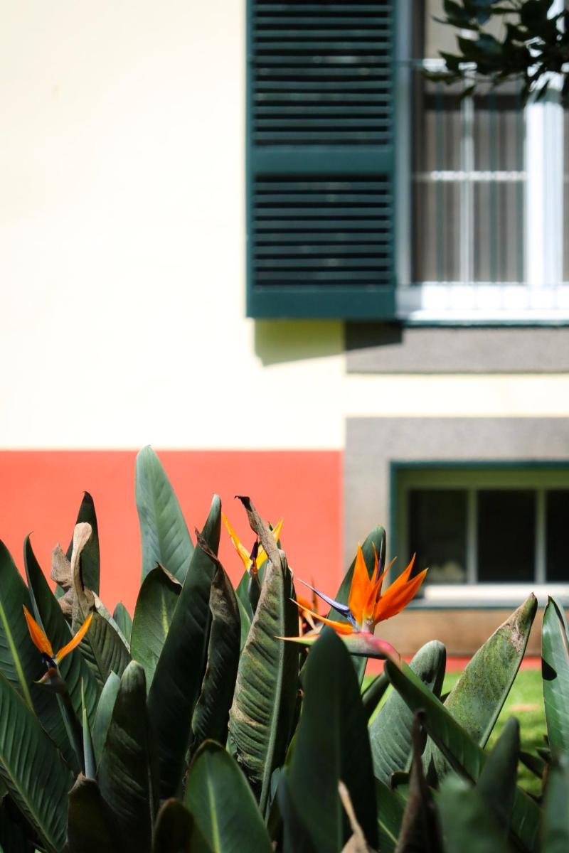 Um jardim no exterior de Quinta da Bela Vista
