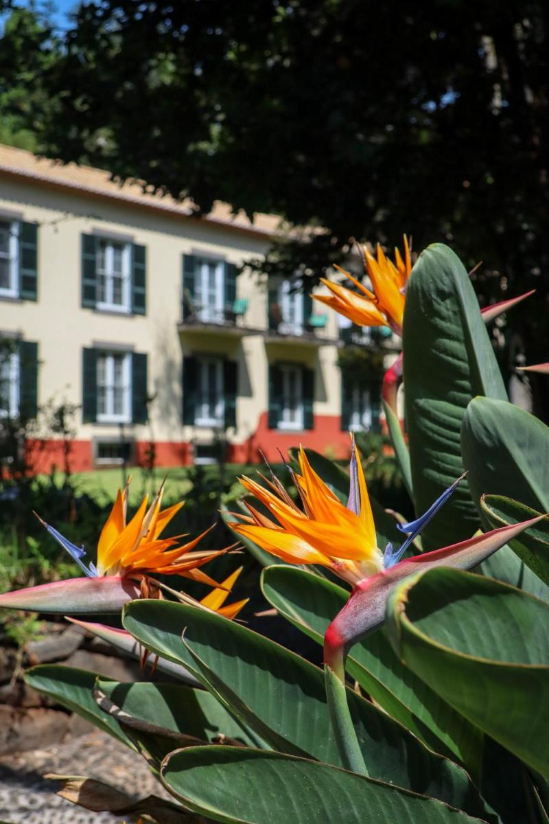 Um jardim no exterior de Quinta da Bela Vista