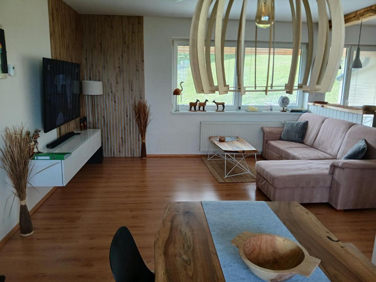Apartment SKI-BIKE-HIKE, Vyšné Ružbachy - Housity