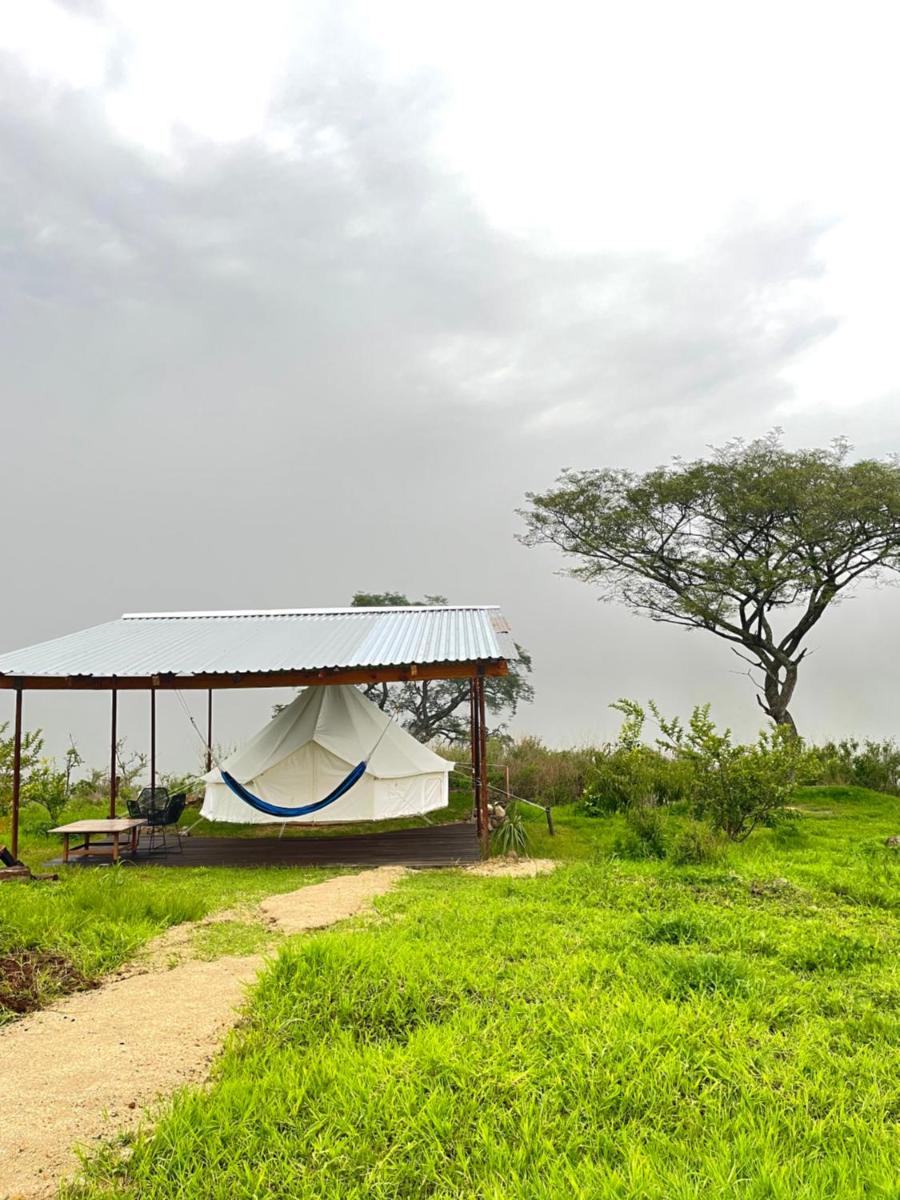 Glampings Hangar 5 Mexico - Housity