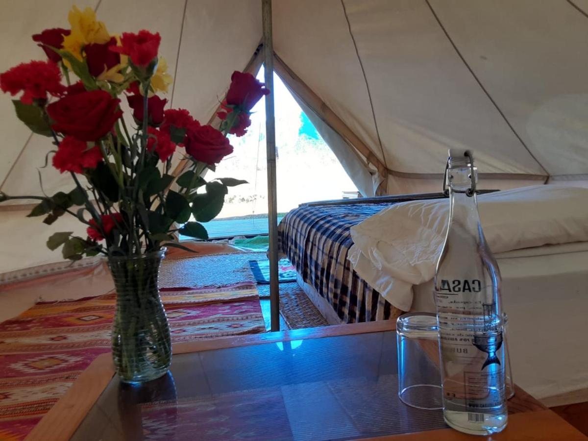 Glampings Hangar 5 Mexico - Housity