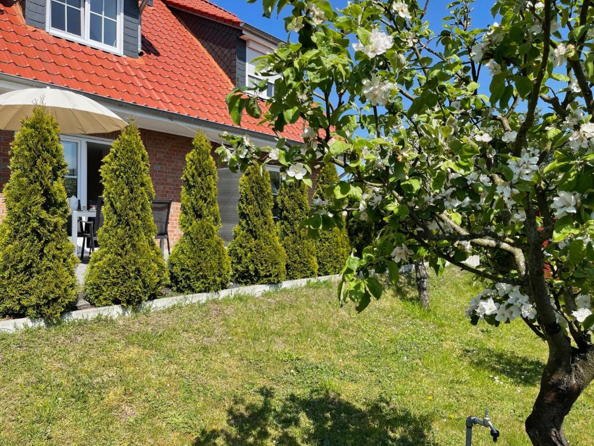 Ferienhaus am Darß - Housity