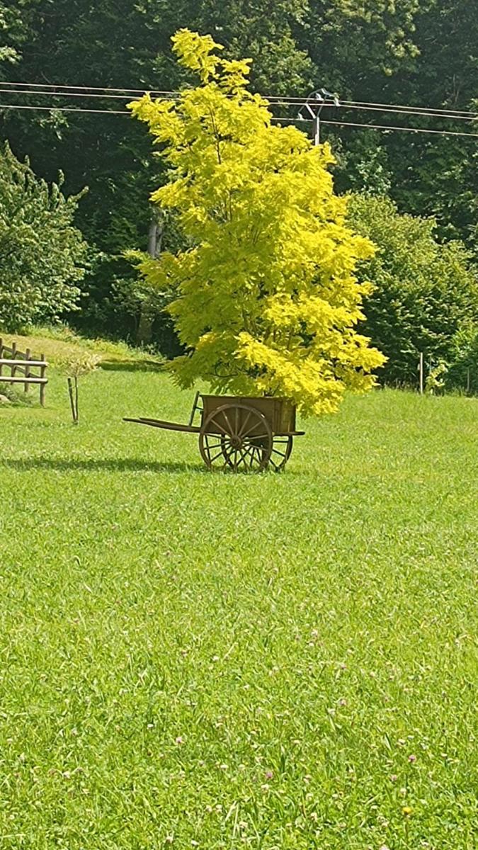 La Petite Maison Dans La Prairie - Housity