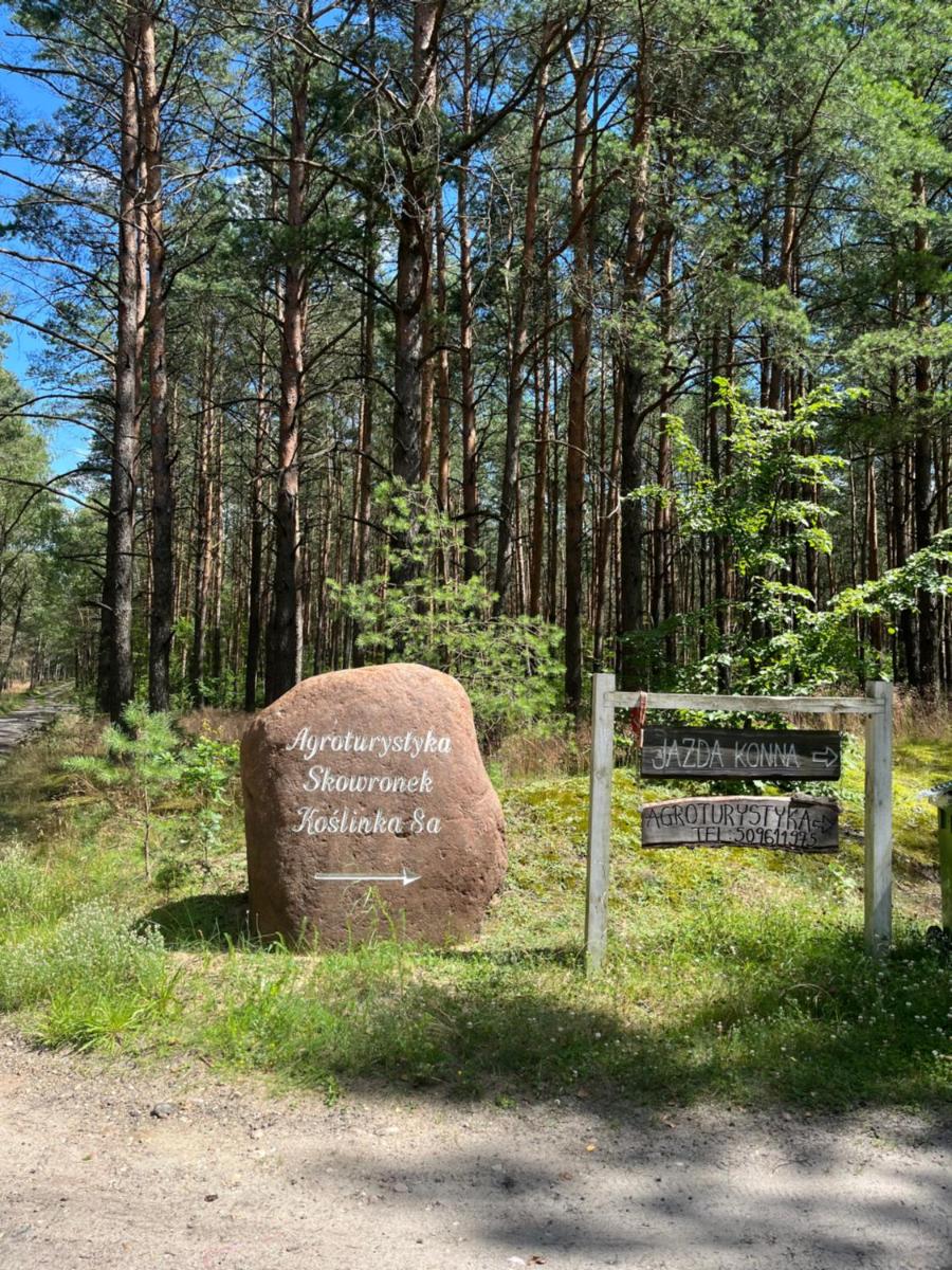 Agroturystyka Dom Skowronek - Housity