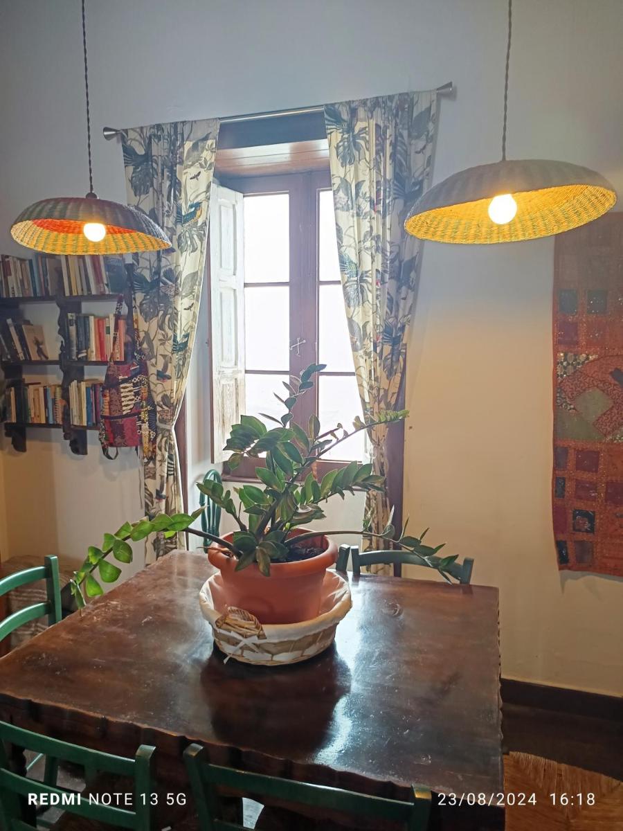 Acoran Family Ocean View Guest House With Daily Yoga Practice Included North Gran Canaria PRIVATE ROOM PET FRIENDLY - Housity