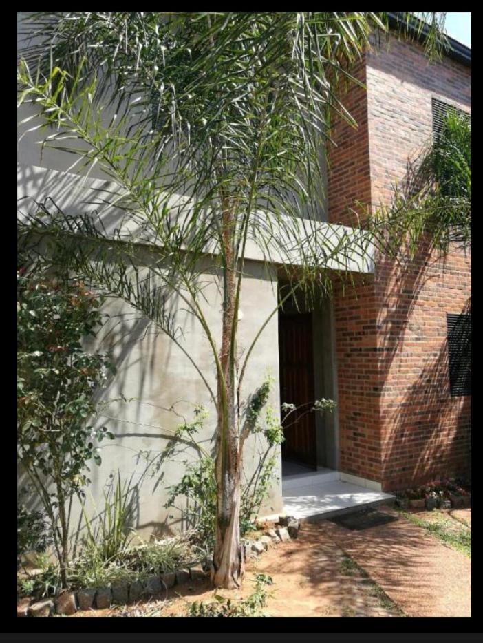 Mandala - Housity