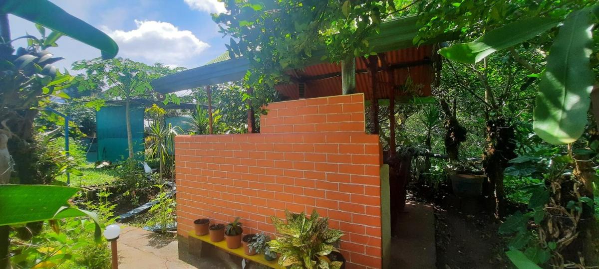 Cabaña bosque verde - Housity