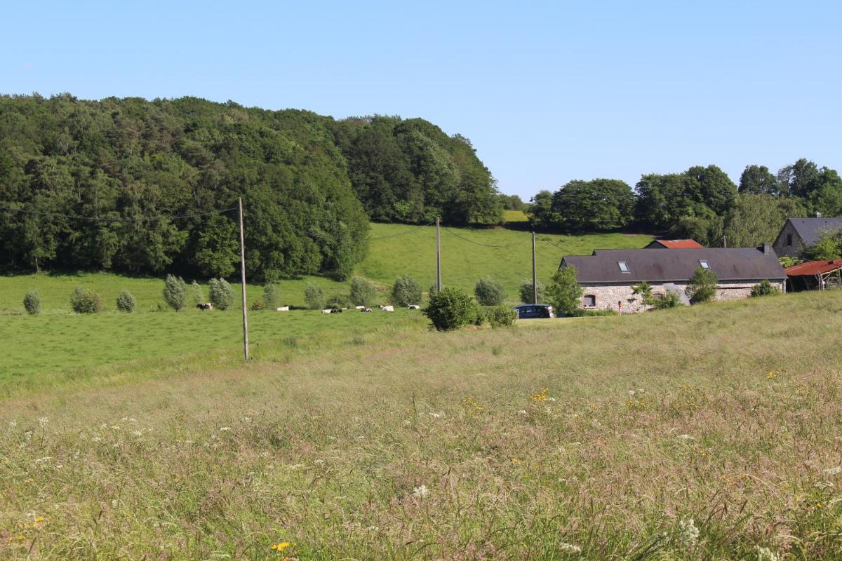 Gite de Baive - Housity