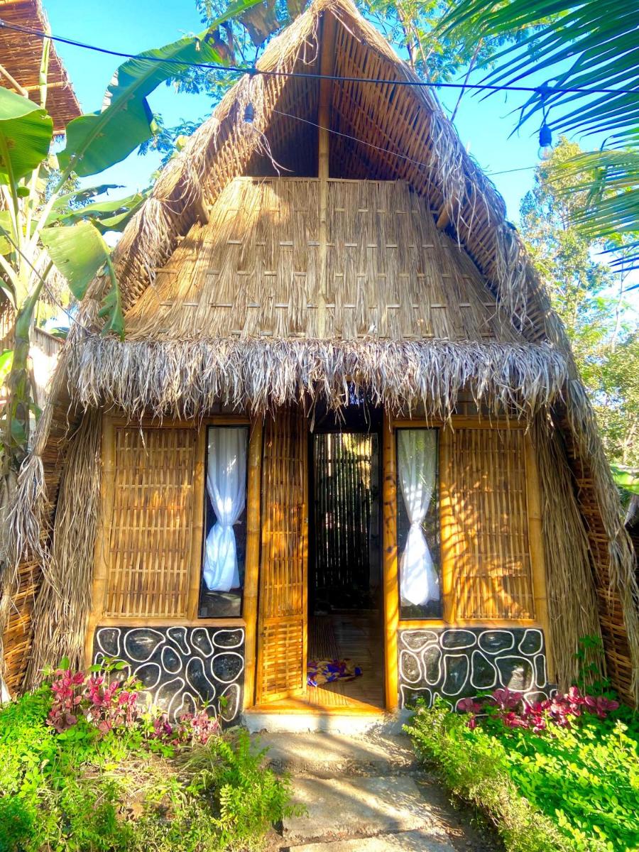 el bamboo guesthouse - Housity