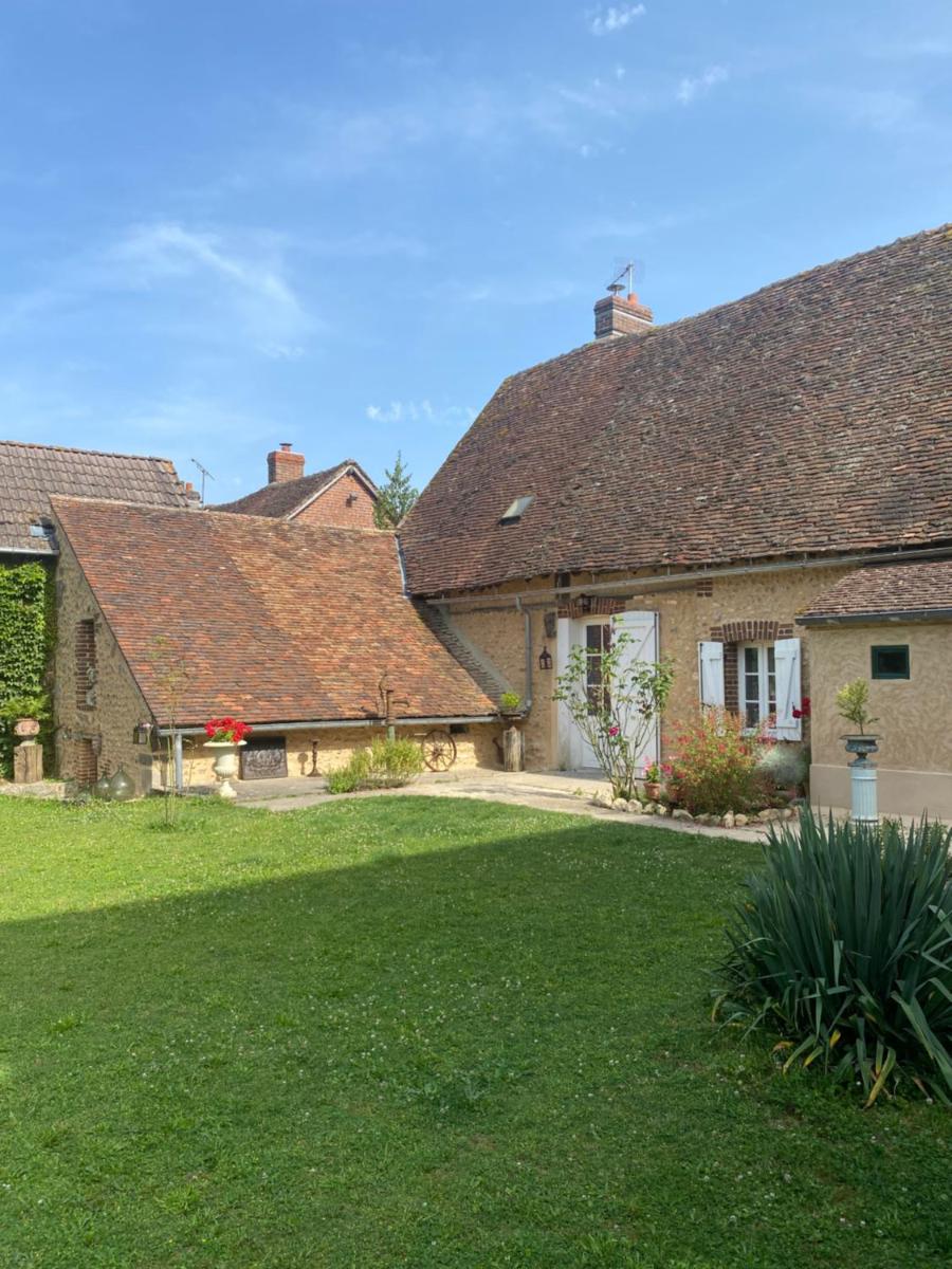 La Vigne dorée - Housity