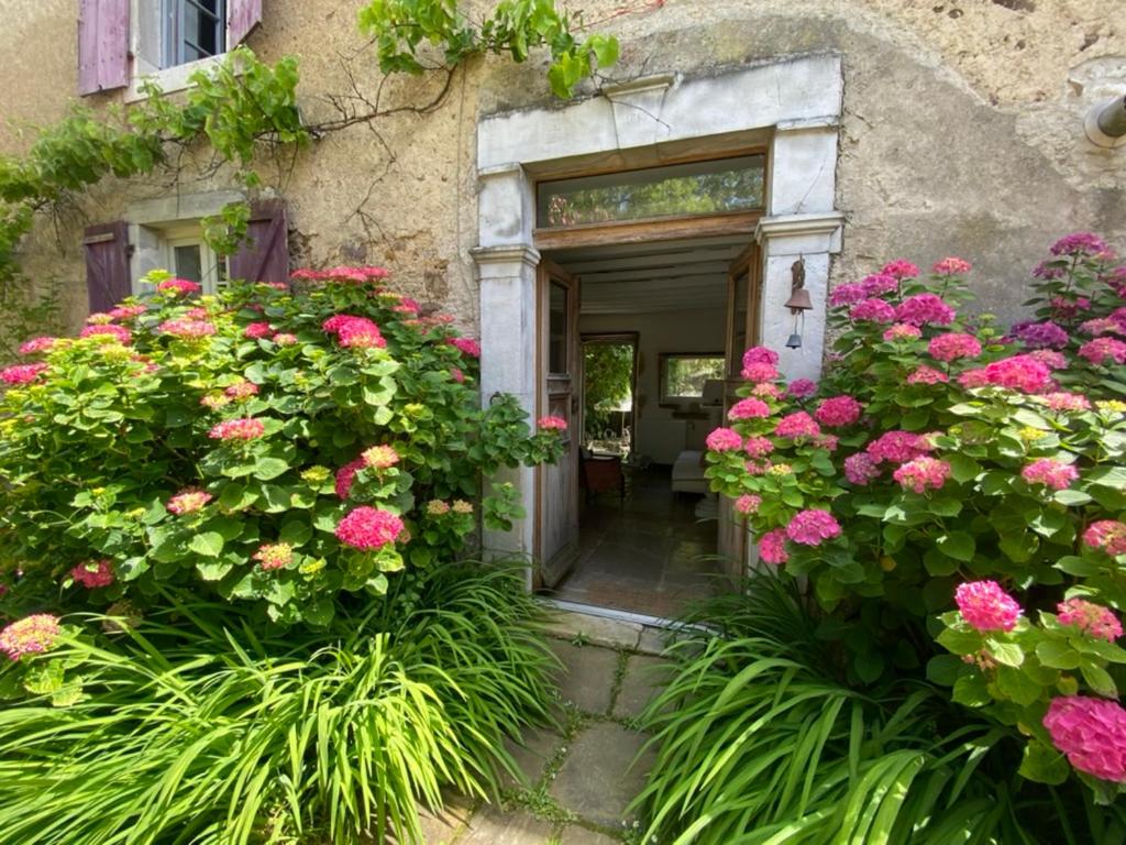Maison D'hôtes-Maison Castaings - Housity