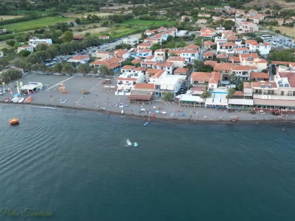 Marilena - Housity