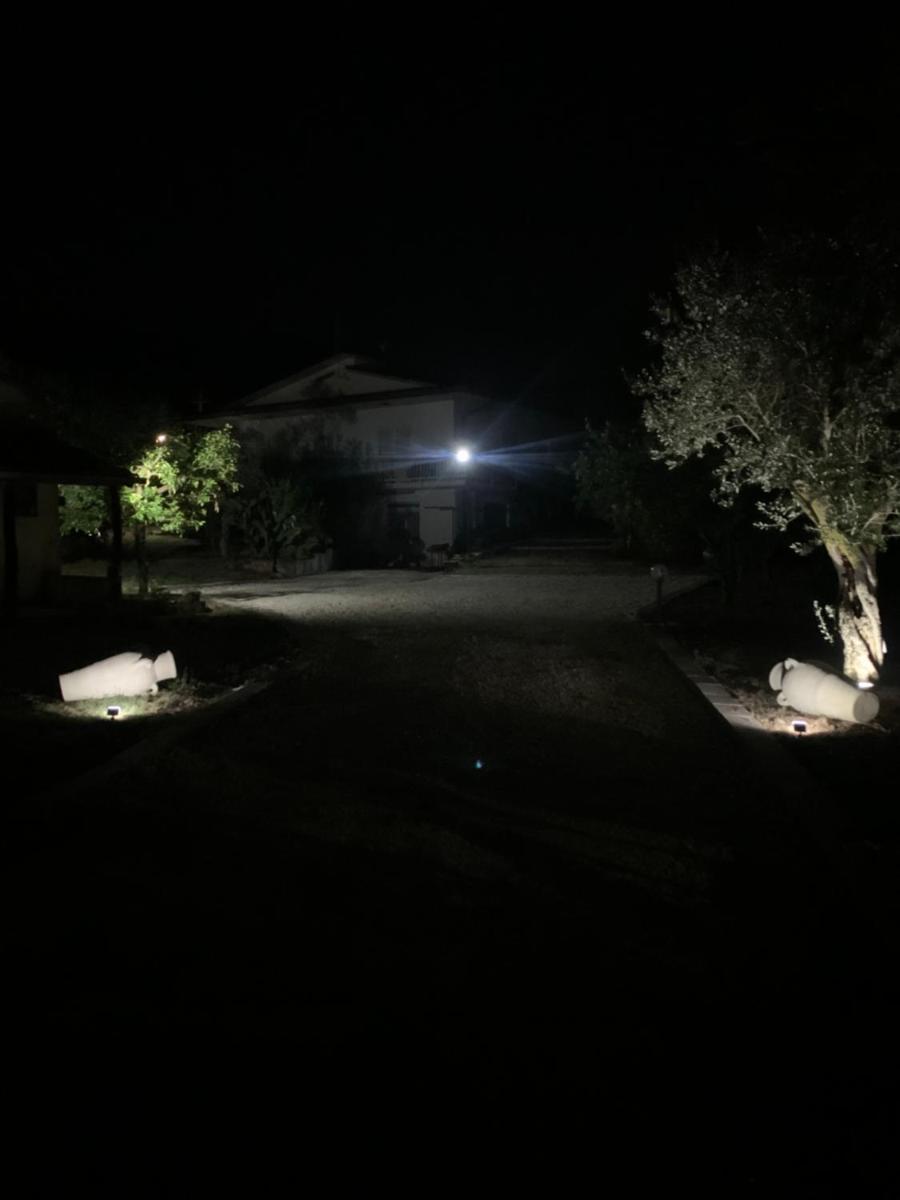 Tenuta degli Uliveti - Housity