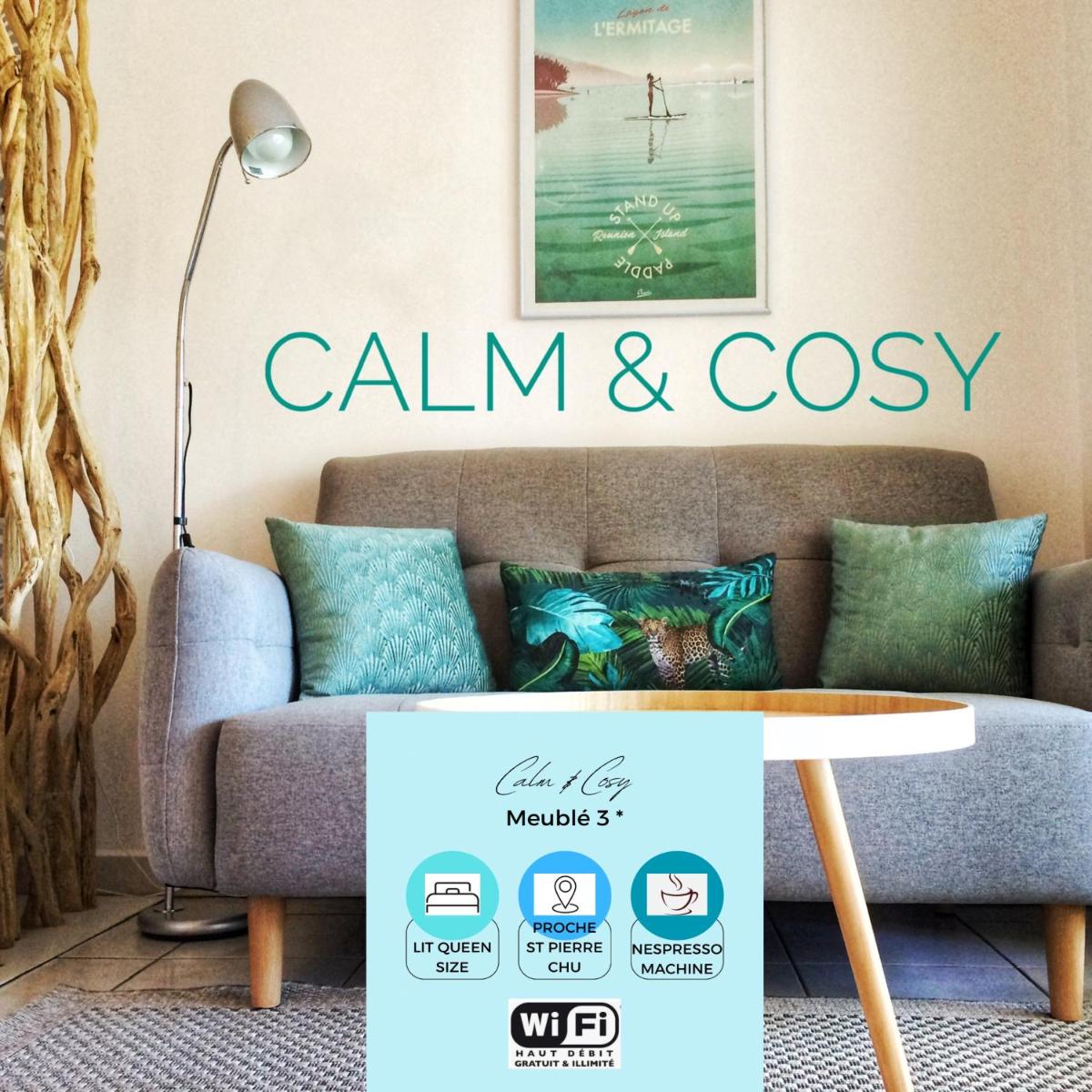 Calm & Cosy, magnifique T1 proche CHU - Housity