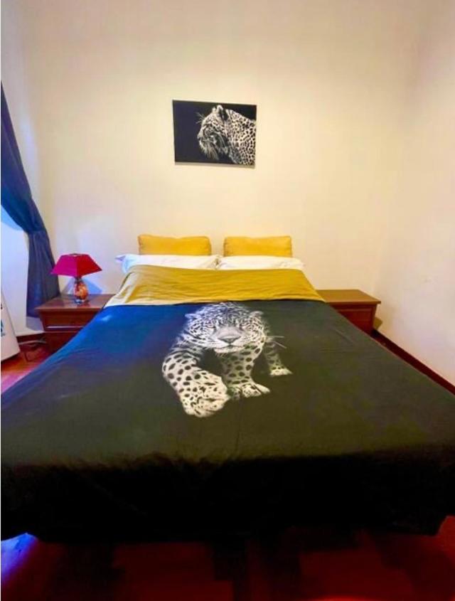 Parisa House - Housity
