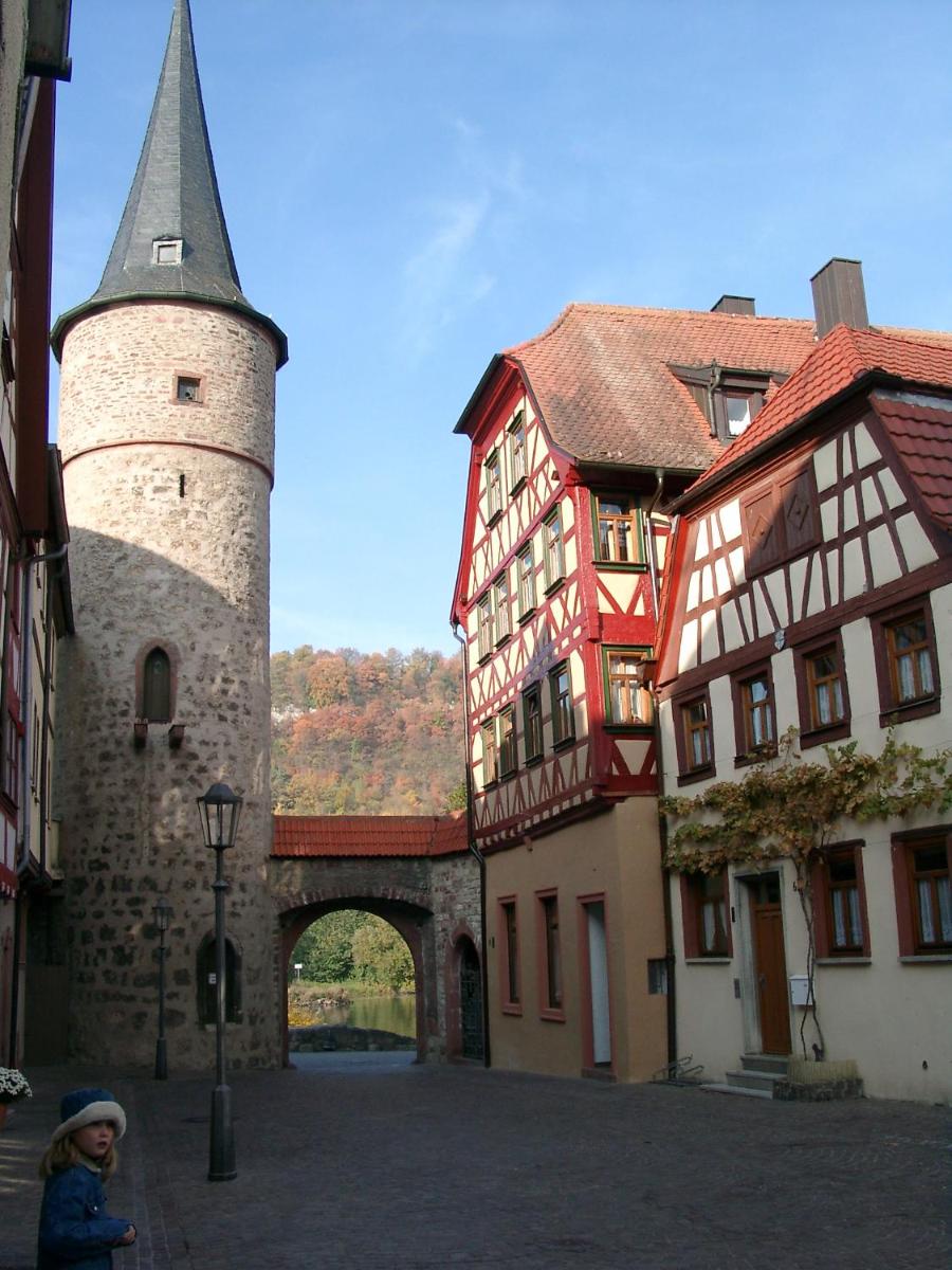 FeWo Maintor Karlstadt - Housity