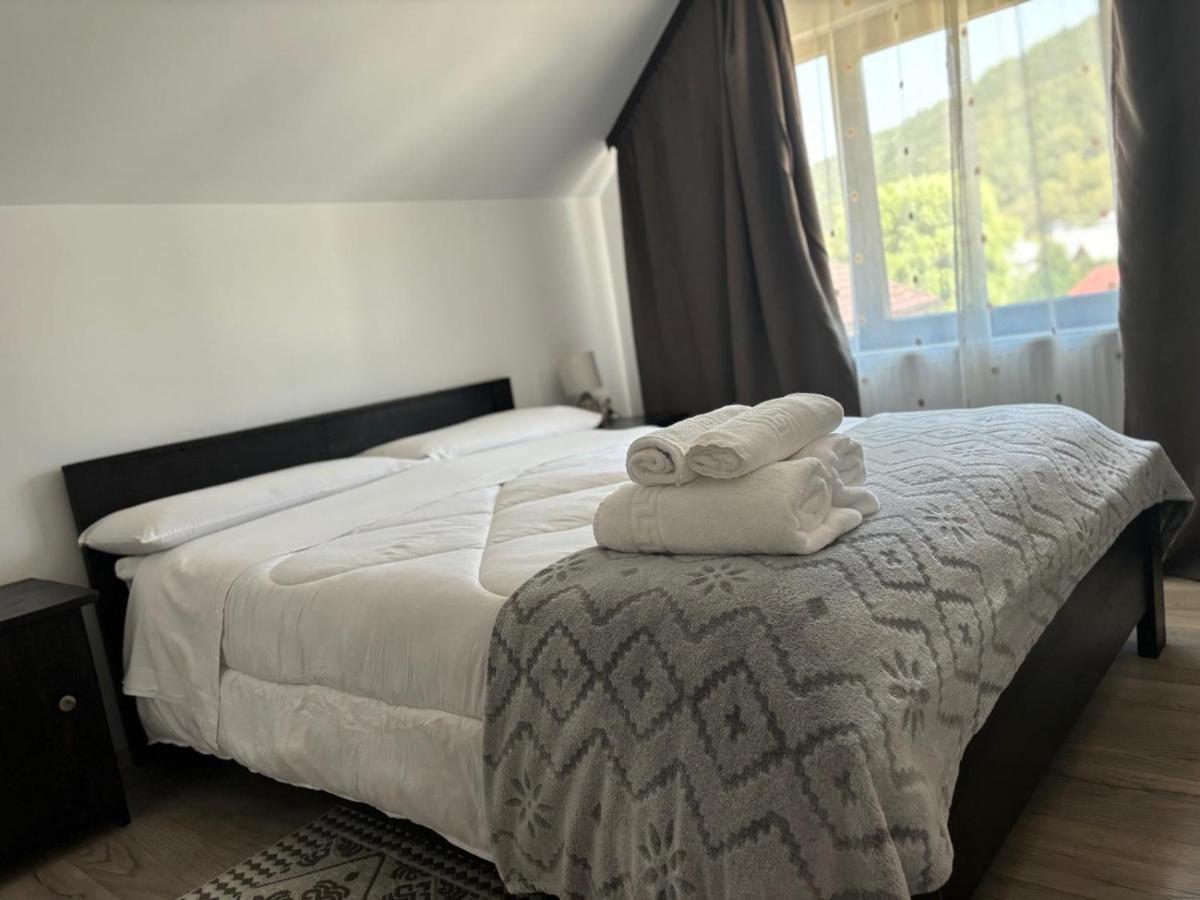 Casa Mocanitei - Housity
