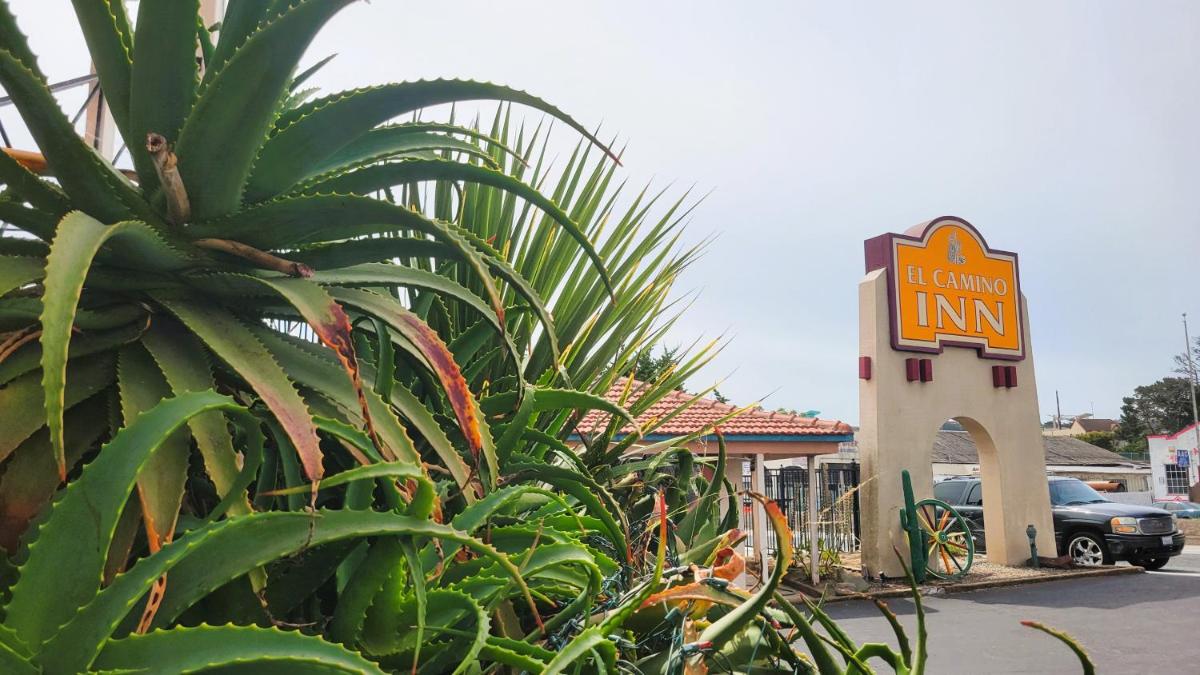 El Camino Inn - Housity