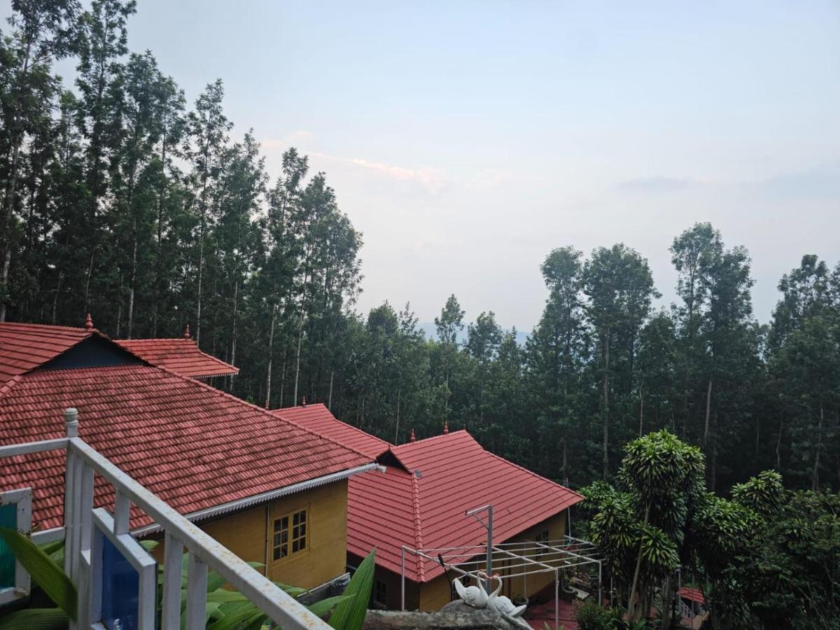 Nature's cradle resort - Housity