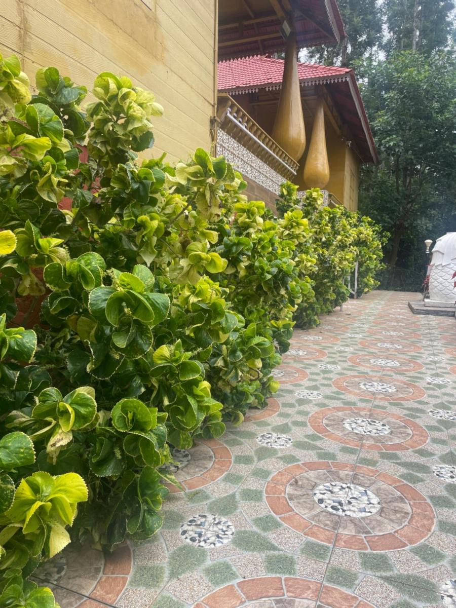 Nature's cradle resort - Housity