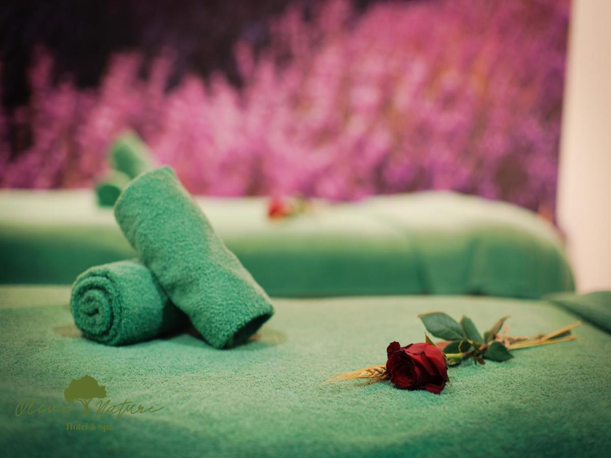 Imagem da galeria de Olive Nature Hotel & SPA - Quinta Valle de Passos em Valpaços